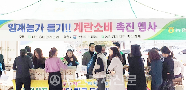 생산비 이하로 고통받고 있는 양계농가들을 위해 농협축산경제와 대전충남양계농협이 소비촉진캠페인을 벌이고 있다.