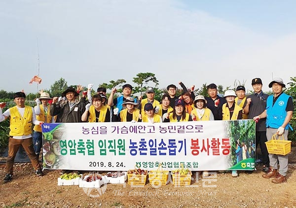 영암축협 임직원들이 농촌일손돕기 봉사활동을 펼치고 있다.