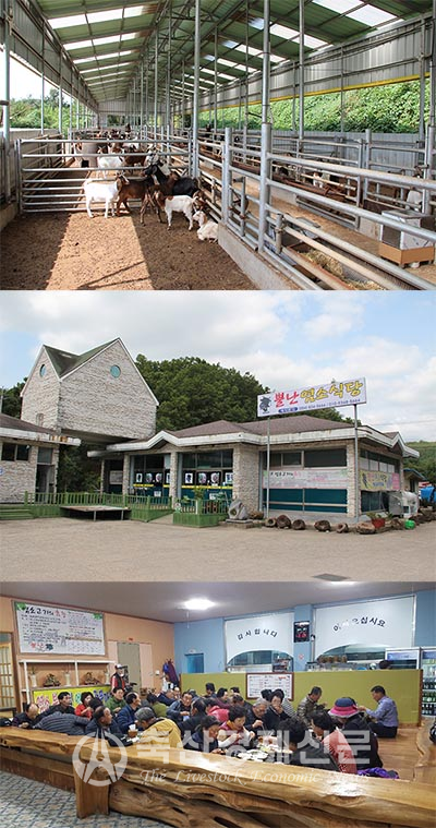 (사진 위부터)암염소들이 생활하고 있는 사육장 모습. 김영민 대표가 직접 운영하고 있는 염소요리 전문식당 ‘뿔난염소식당’. 뿔난염소식당을 찾은 손님들.