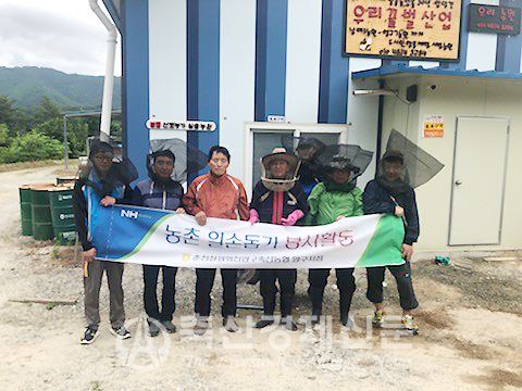 춘천철원화천양구축협 양구지점 직원들이 밤꿀 채취 봉사활동을 진행하고 있다.