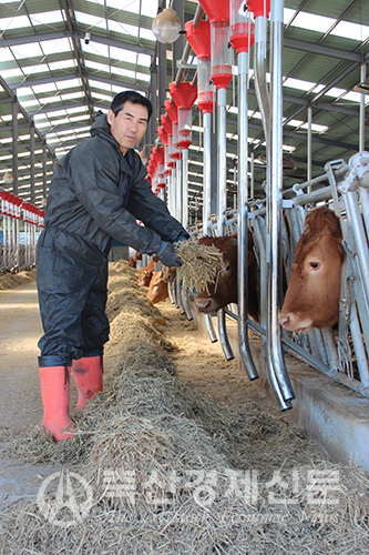 이부홍 이유농장 대표가 소들에게 먹이를 주고 있다.