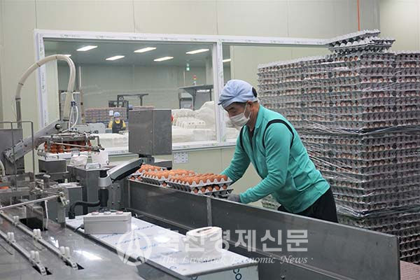 정부가 계란가격 투명화를 위해 공판장을 개설했으나 졸속이란 비난이 높다.