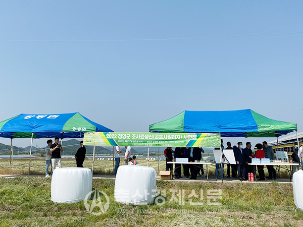 청양군은 충남 청양군 장평면 일원에서 조사료 생산 시연회를 개최했다