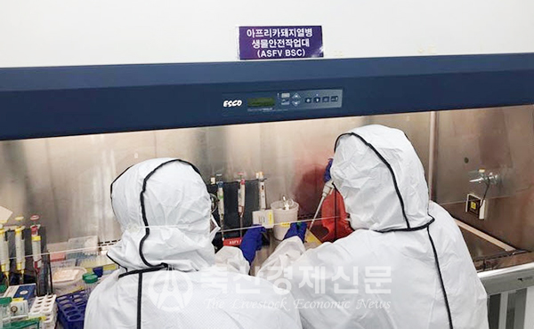 충북동물위생시험소가 ASF 정밀진단기관으로 최종 승인됐다.