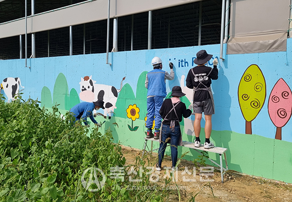 농협 축산경제 직원들과 포스코모빌리티솔루션의 그린모션봉사단이 17일 천안지역 축산농가를 방문해 예쁜 벽화를 그리고 있다.