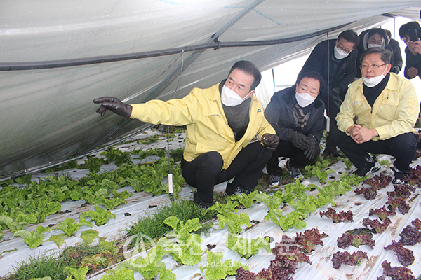 이성희 농협중앙회장(사진 왼쪽 첫번째)이 전북 순창의 폭설피해 농가를 점검하고 있다.