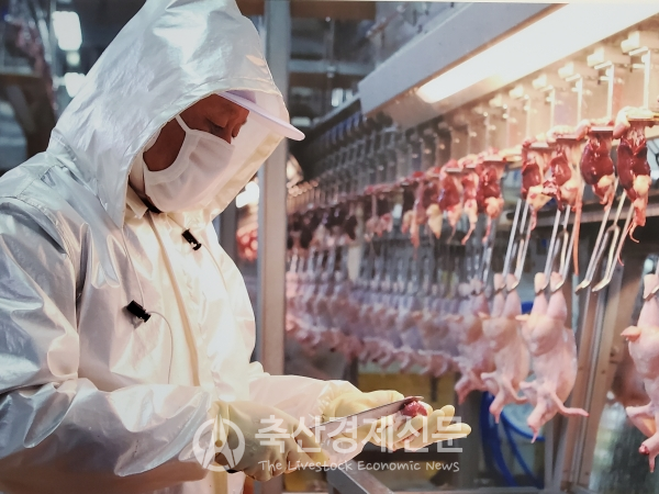 국내 닭고기업체들은 외국산 닭고기와의 경쟁에서 우위를 점하기 위해 품질 차별화를 꾀하고 있다.