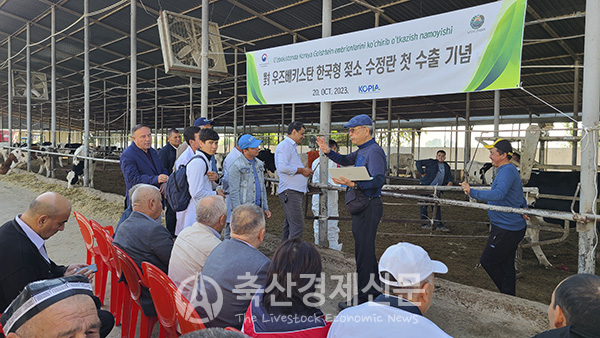 우즈베키스탄에서 진행된 ‘한국형 젖소 수정란 이식 행사’ 참석자들이 뜨거운 관심을 보이고 있다.