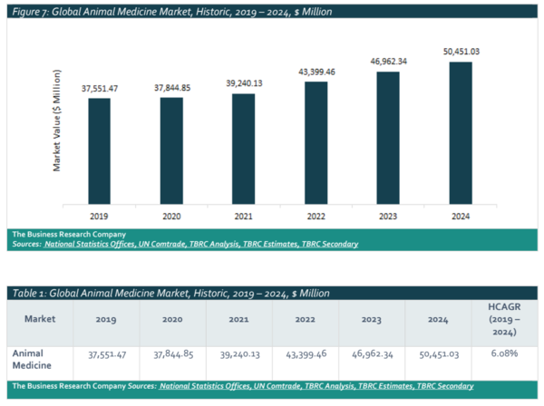 �۷ι� ������ǰ ���� �Ը�(2019~2024)
