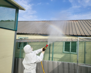 ASF 확산 차단, 지금이 골든타임 - 뉴스 썸네일 이미지