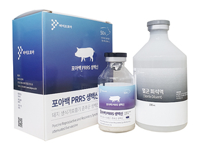 PRRS 생백신 멕시코 품목허가 - 뉴스 썸네일 이미지
